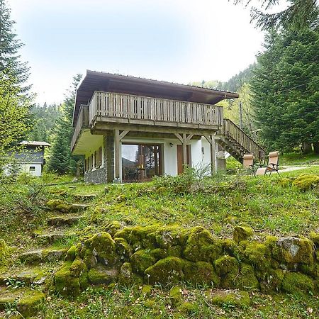 Le Schwarzwald - A Proximite Des Stations De Ski La Bresse Εξωτερικό φωτογραφία
